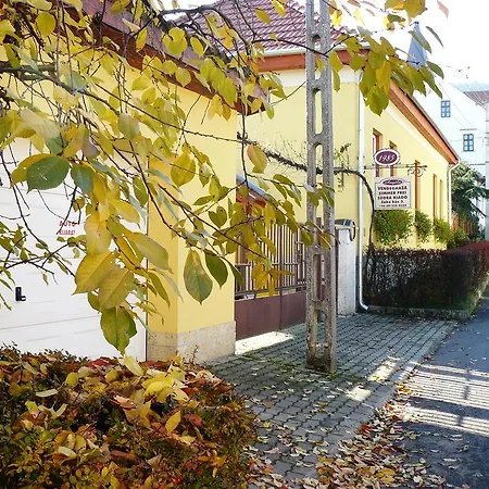 Guest house Angela Vendeghaz Tokaj