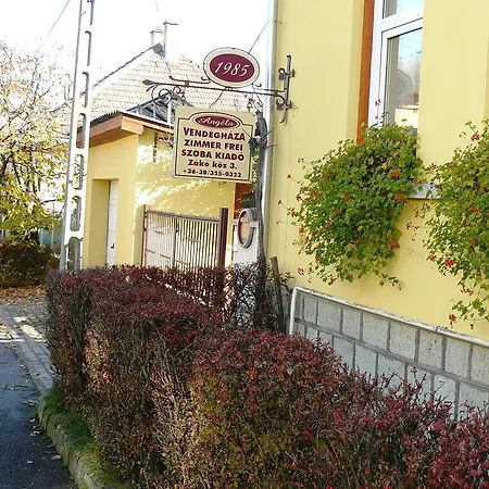 Angela Vendeghaz Guest house Tokaj