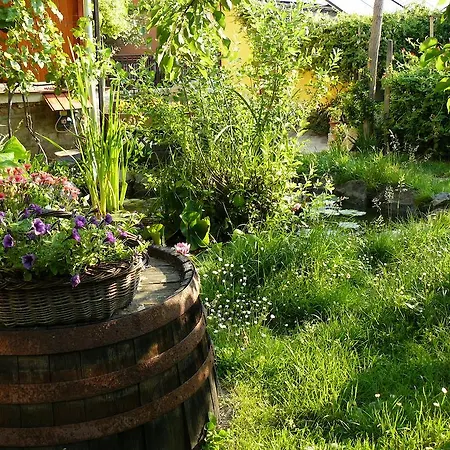Angela Vendeghaz Guest house Tokaj