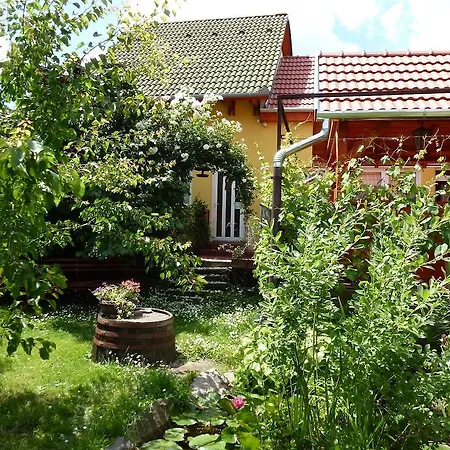 Angela Vendeghaz Guest house