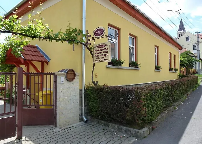 Angela Vendeghaz Pensiune Tokaj